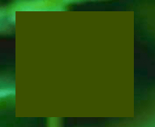 Sample with no text